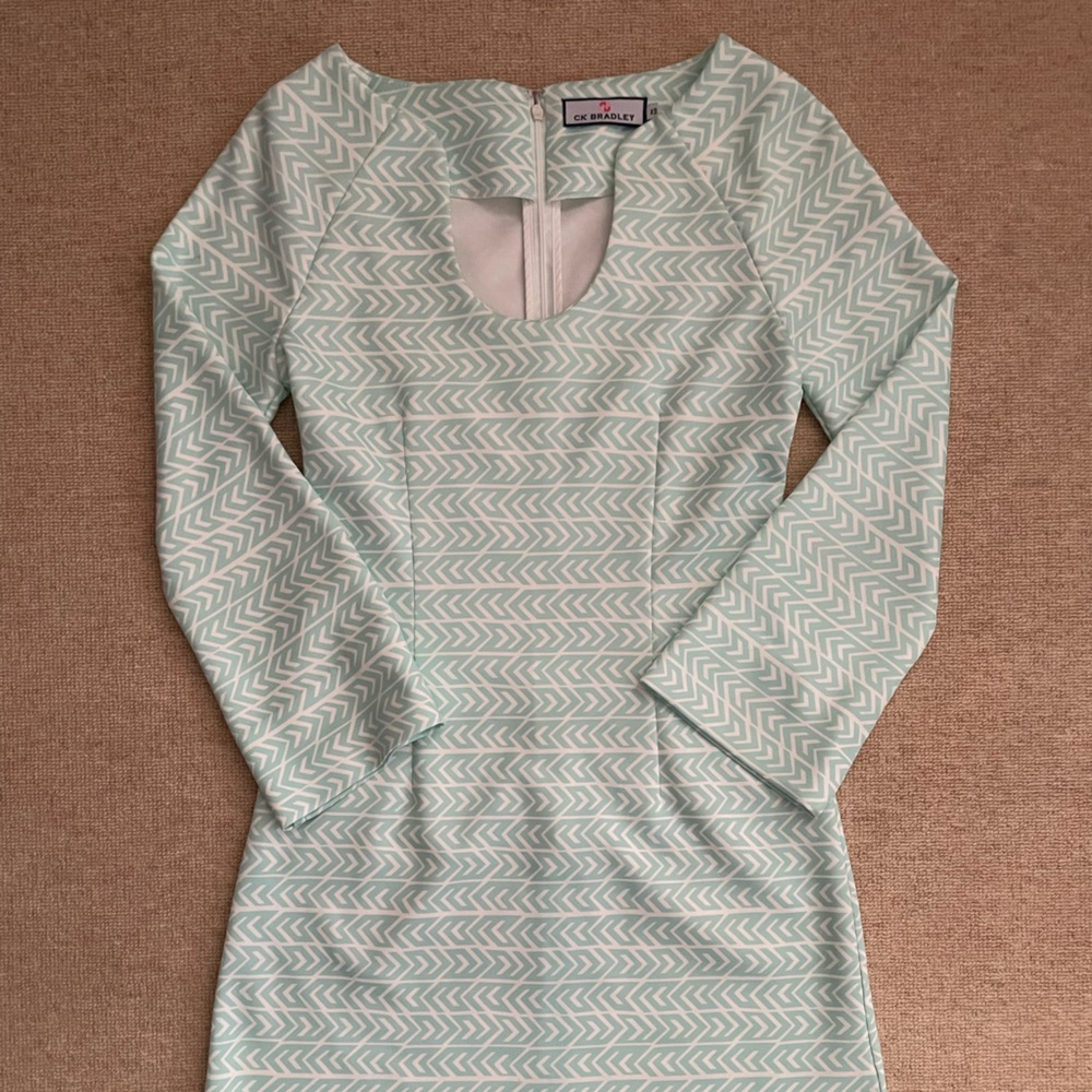 CK Bradley Stretch Dress